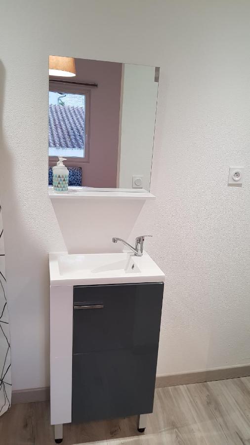 Appartement Gabrielle Au Calme En Hypercentre De Revel (Haute-Garonne)